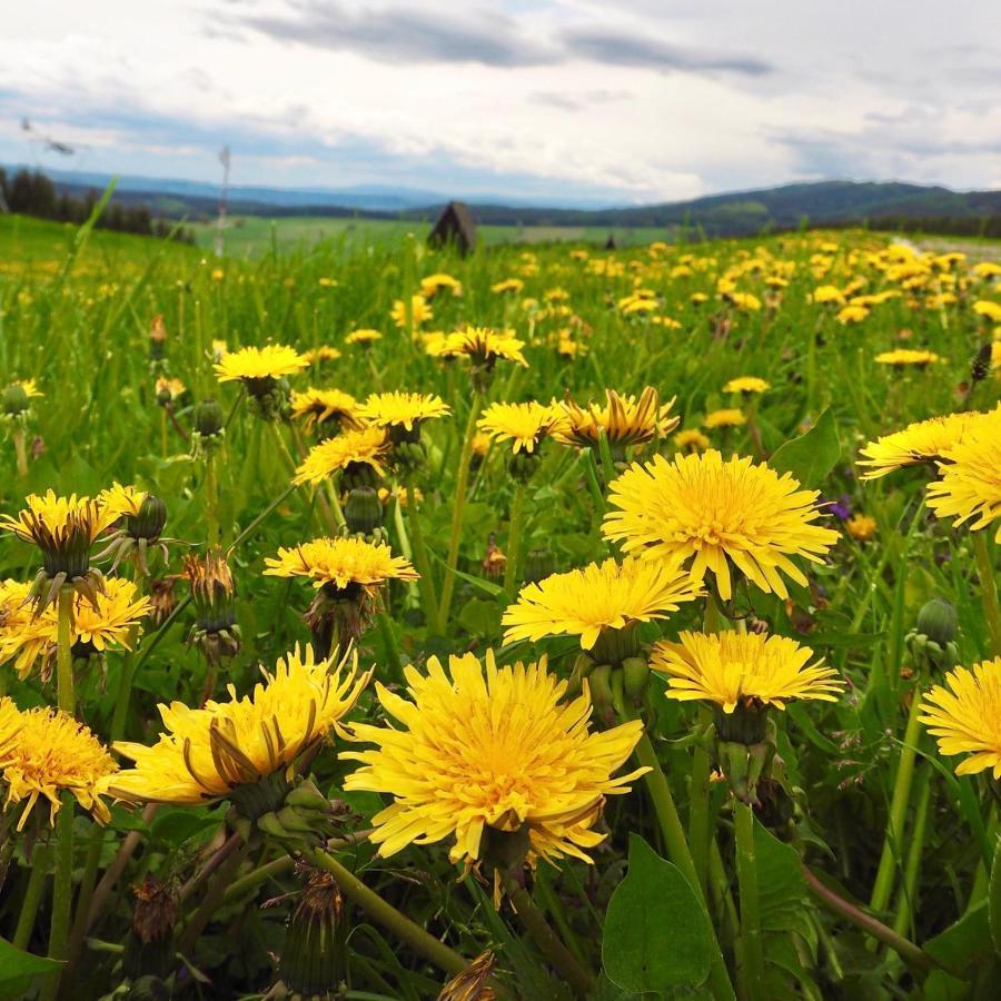 Penzion Panorama Janovicky Broumov Bagian luar foto